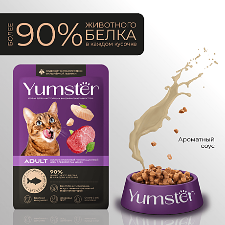 Корм д/к Yumster пауч 85г Рыба/Соус