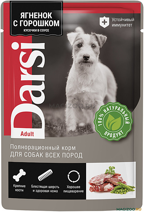Darsi
