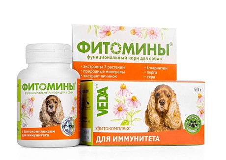Лак-во д/с ФитоМины Для иммунитета 100таб.
