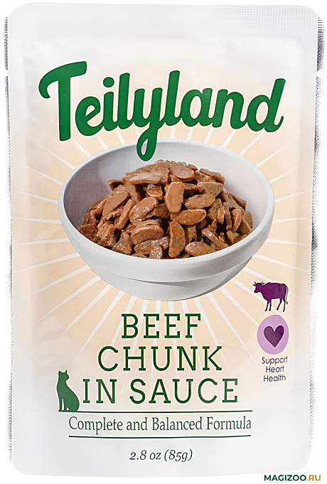 Корм д/к Pettric Teilyland пауч 85г Говядина/Соус