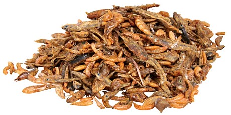 Корм д/черепах PetLunch 100г Микс Гаммарус/Креветка/Рыбка