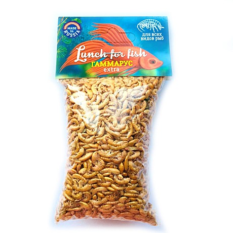 PetLunch