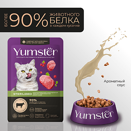 Корм д/к Yumster пауч 85г Говядина/Брусника/Соус д/стерил.