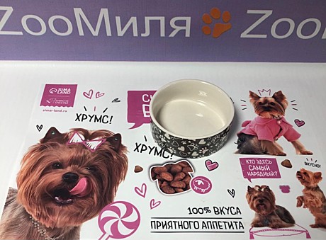 Миска керамика Пижон Лапки 250мл/11,5*4,5см/серая