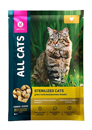 All Cats