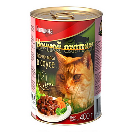Ночной охотник
