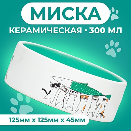 Миска керамика Пижон Любовь и коты 300мл/мятная