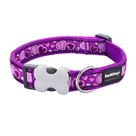 Ошейник RedDingo Сердечки фиолетовый S/24-36см/1,5см