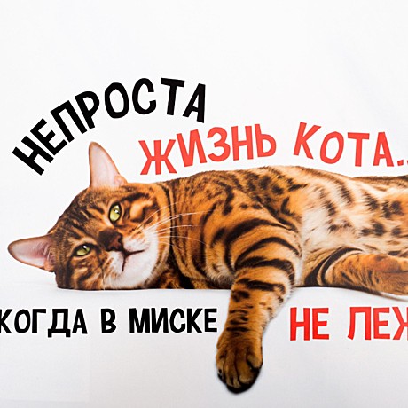 Коврик под миску Не проста жизнь кота  43*28см