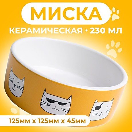 Миска керамика Пижон Опасные коты 230мл 12,5*4,5см бело-оранжевая