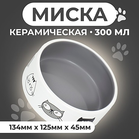 Миска керамика Пижон Четыре кота 300м 12,5*4,5см бело-серая
