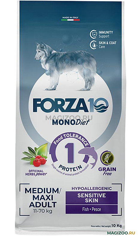 Forza10