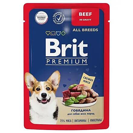 Brit