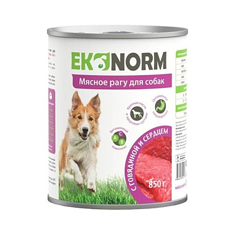 Ekonorm