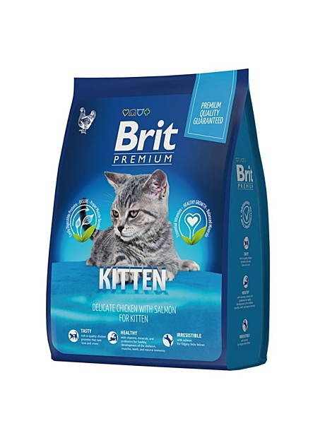 Brit