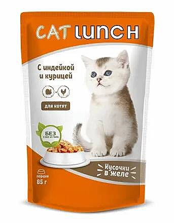 CatLunch