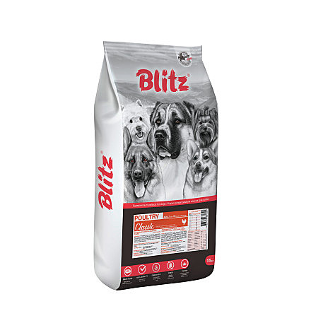 Blitz
