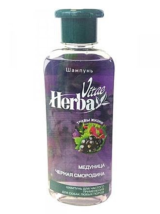 Шампунь д/с Herba Vitae Медуница/Смородина