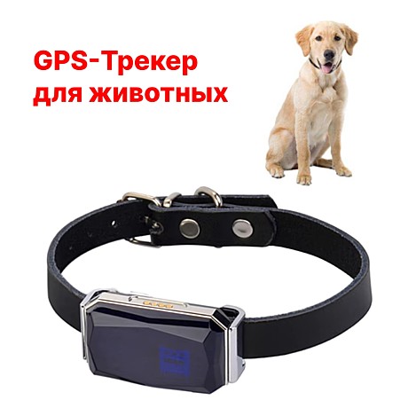 GPS-Трекер с ошейником до 10м/серебристый