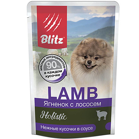 Blitz