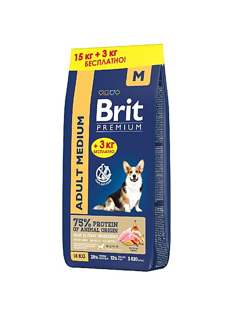 Brit