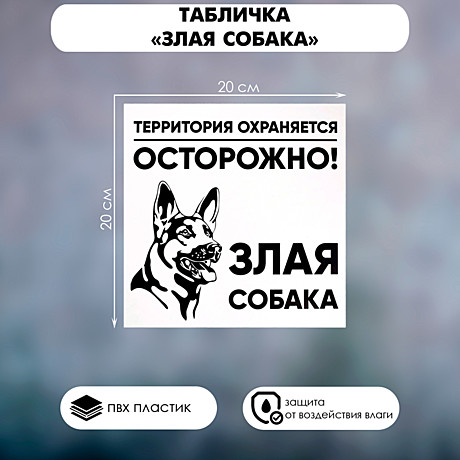 Табличка ЗЛАЯ СОБАКА 20*20см