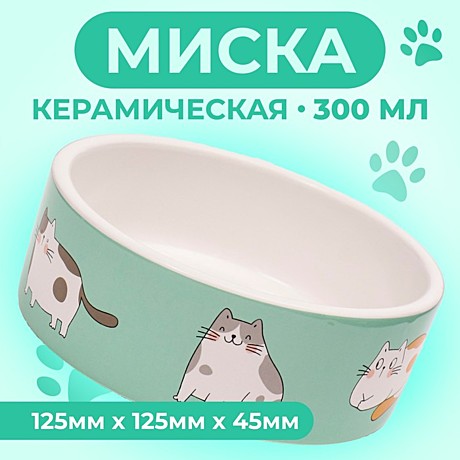 Миска керамика Пижон Котяры 300мл бело-зеленая